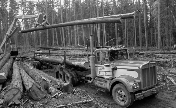 Avison Logging