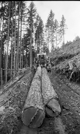 Skidder Logging