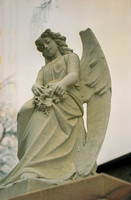 Angel Above